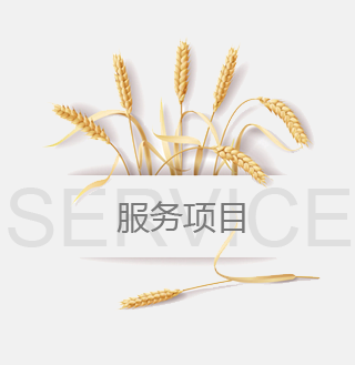 华体会网页版-华体会huatihui（中国）

